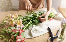 In rutrum tempus purus, ut euismod dui facilisis ac. Fusce semper dignissim diam a egestas.